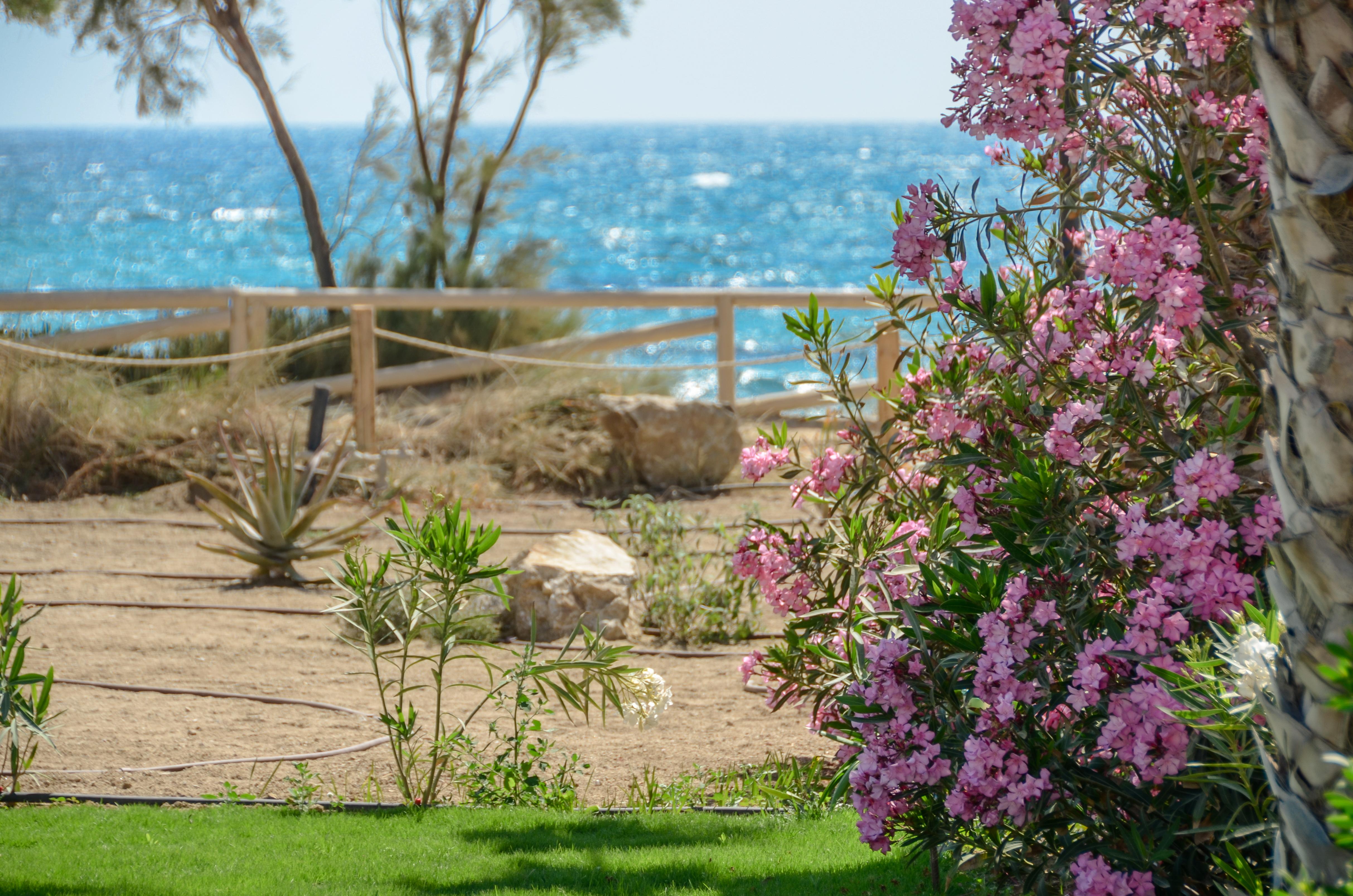 Glaronissi Beach Maragkas Exterior foto